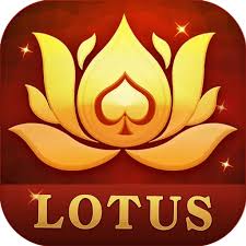 is teen patti and flash same download